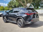 2024 Lexus NX 250 Premium